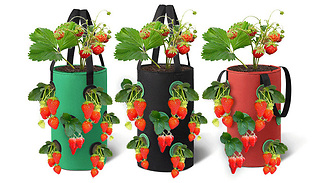 1 or 2-Pack 3 Gallon Plant Grow Bags - 3 Colours